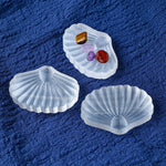 Shell selenite charging tray