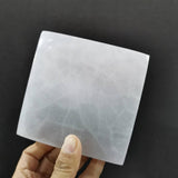 Square plate size Medium